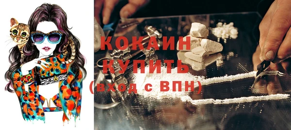 Альфа ПВП Гусев