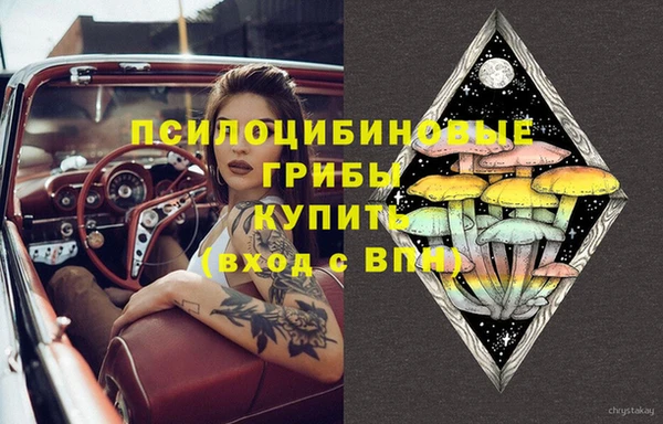 кристаллы Гусь-Хрустальный