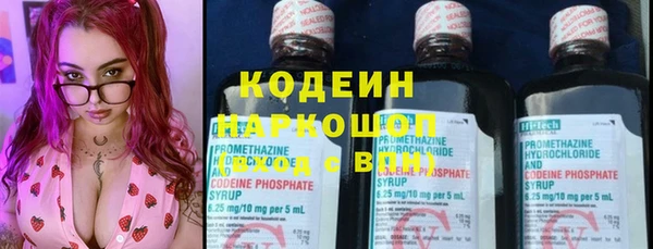 Альфа ПВП Гусев