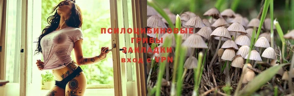 кристаллы Гусь-Хрустальный