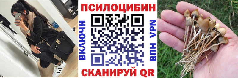 Купить где  Ангарск  Псилоцибиновые грибы Magic Shrooms 